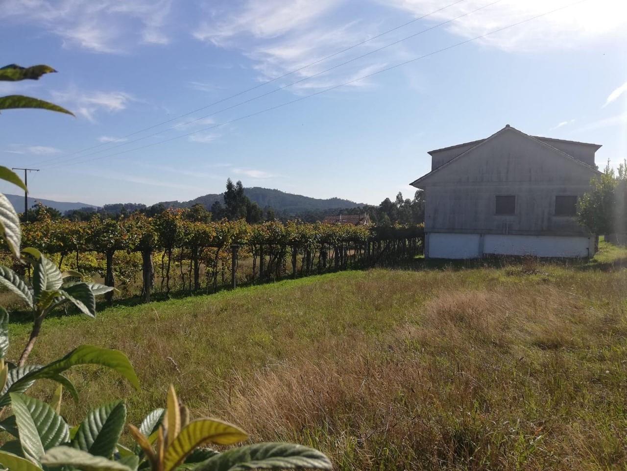 Foto 4 CASA    CON  FINCA   EN  CAMPAÑÓ