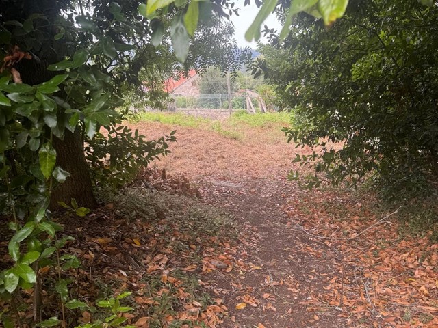finca   edificable  en  rubianes   villagarcía - Vilagarcía de Arousa