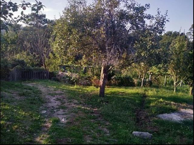Foto 16 paradela   de  bemil