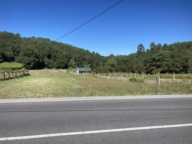 TERRENO  EDIFICABLE     EN  BARRO